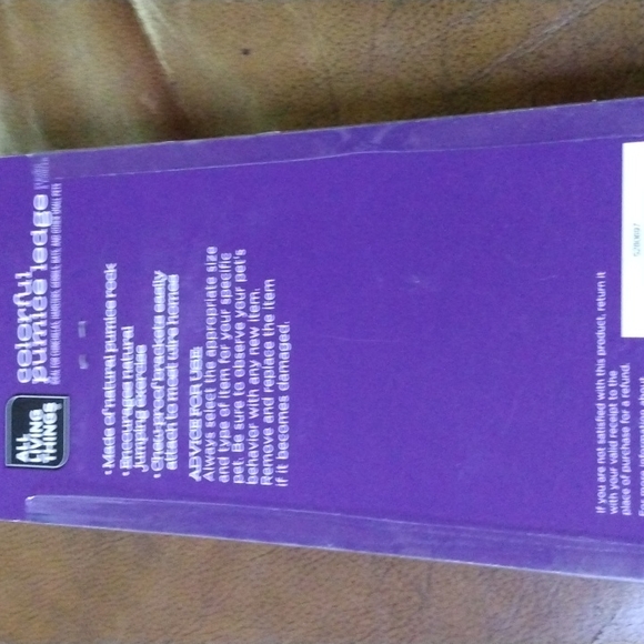 All living things small Animal colorful pumice ledge - Picture 4 of 4